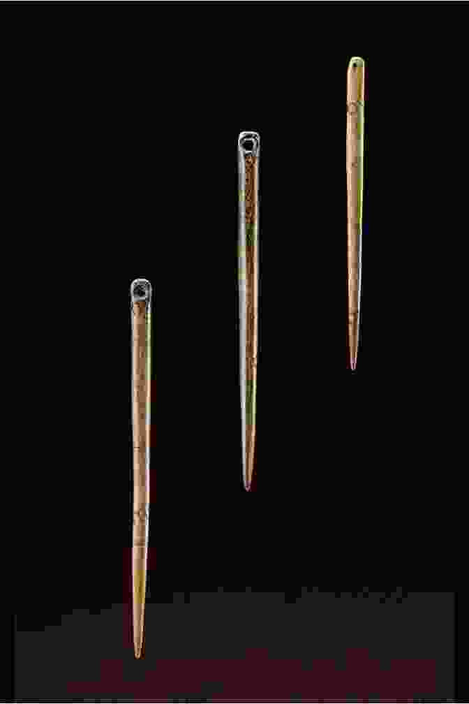 A Bone Needle Used By Early Humans Porcupine Quills To Needles (21st Century Junior Library: Tech From Nature)