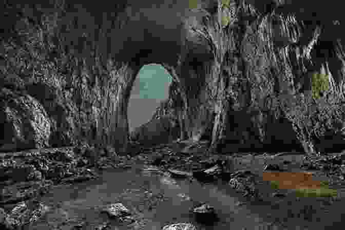 A Dark And Mysterious Cave, Its Entrance Hidden By Thick Vines Amon S Adventure: A Family Story For Easter