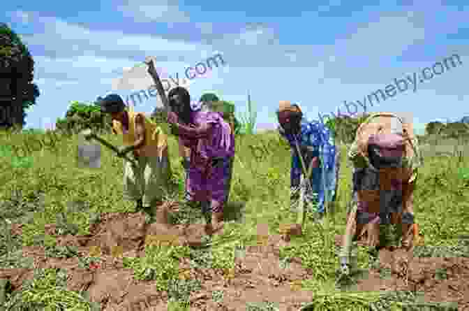 A Group Of Gebusi People Tending To Their Crops In A Traditional Clearing In The Rainforest The Gebusi: Lives Transformed In A Rainforest World