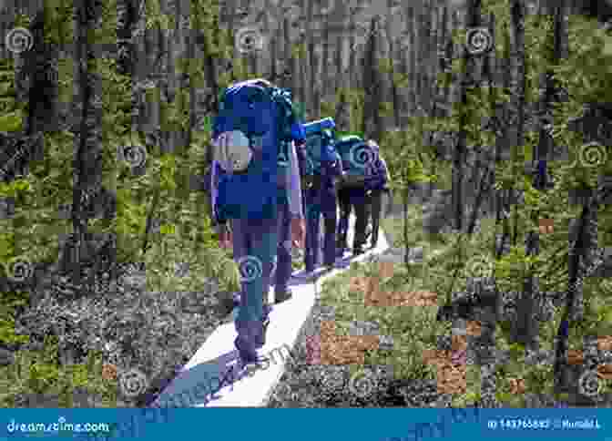 A Group Of Hikers Trekking Through A Lush Alaskan Forest, Surrounded By Towering Trees And Cascading Waterfalls. The Game Alaska Style Pottermore Publishing