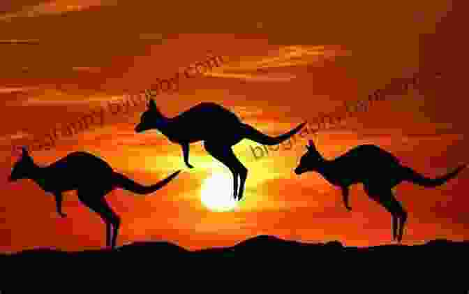 A Kangaroo Silhouetted Against A Sunrise In The Outback AUSTRALIA A Photography Personal Travel Guide Anne Pannecke Photography