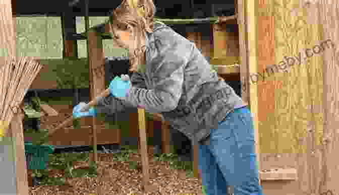 A Person Cleaning A Chicken Coop Backyard Chickens: The 5 Biggest Mistakes I Made