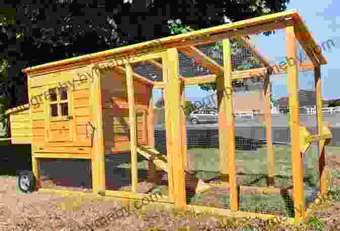 A Spacious And Well Ventilated Chicken Coop Backyard Chickens: The 5 Biggest Mistakes I Made