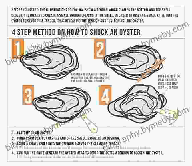 A Step By Step Guide To Oyster Tasting, Demonstrating The Proper Way To Hold, Open, And Savor An Oyster A Geography Of Oysters: The Connoisseur S Guide To Oyster Eating In North America