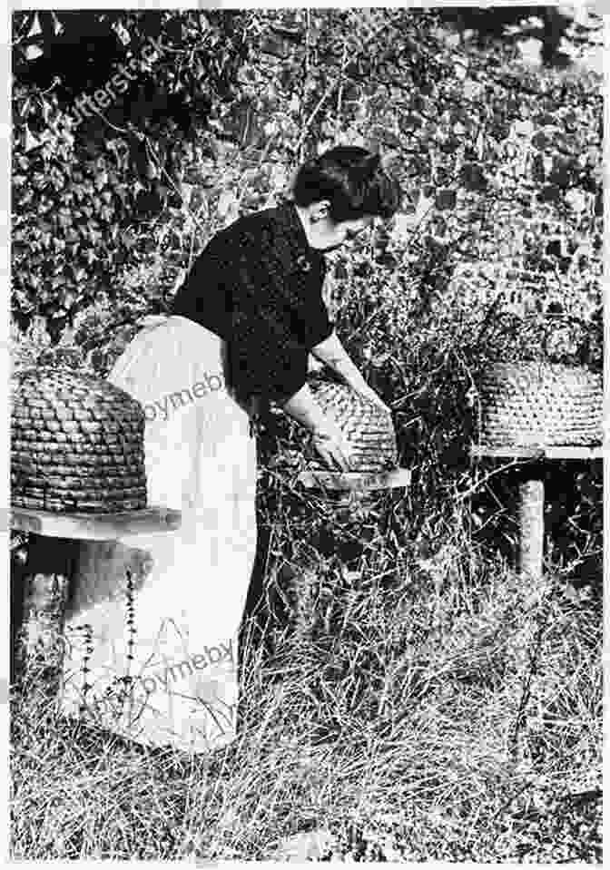 A Woman Tending To Her Bees, Highlighting The Bond Between Humans And Nature Starting Over: A Country Year And A Of Bees