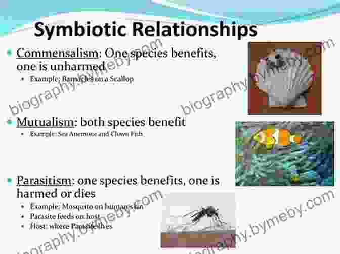 Animal Integration: Fostering Symbiotic Relationships Restoration Agriculture: Real World Permaculture For Farmers