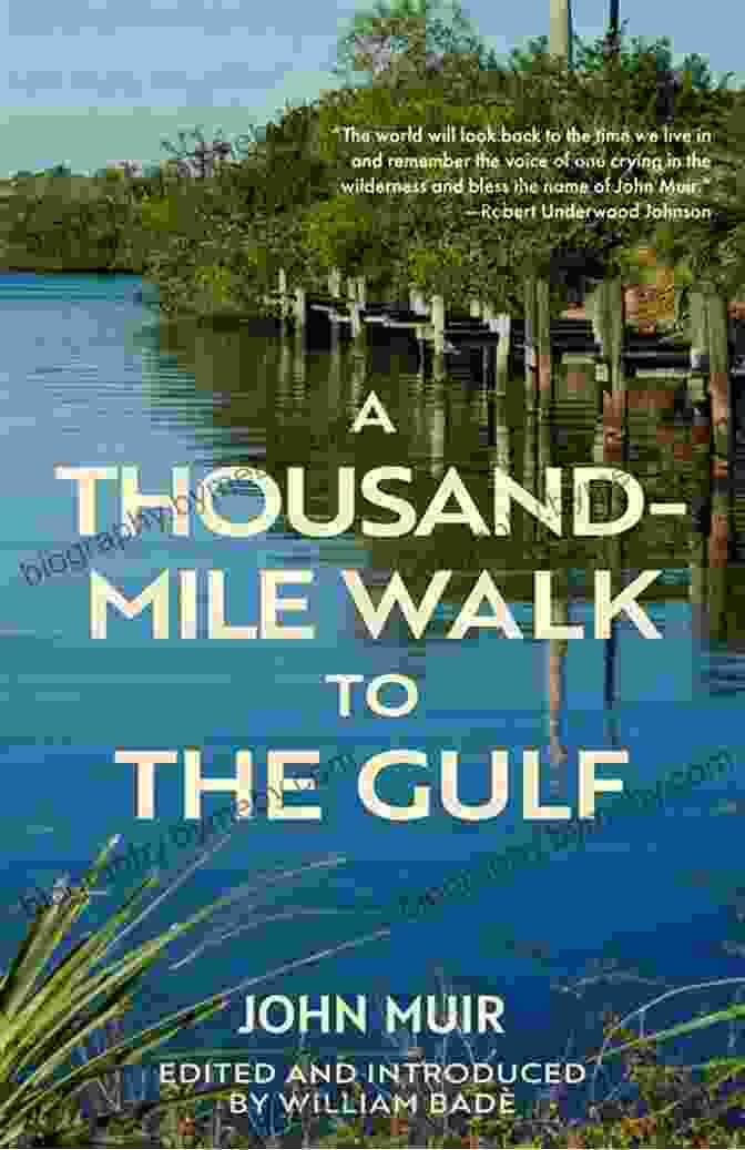 Book Cover For 1000 Mile Walk To The Gulf, Depicting A Hiker Walking Towards The Horizon The Great Outdoors: A 1000 Mile Walk To The Gulf