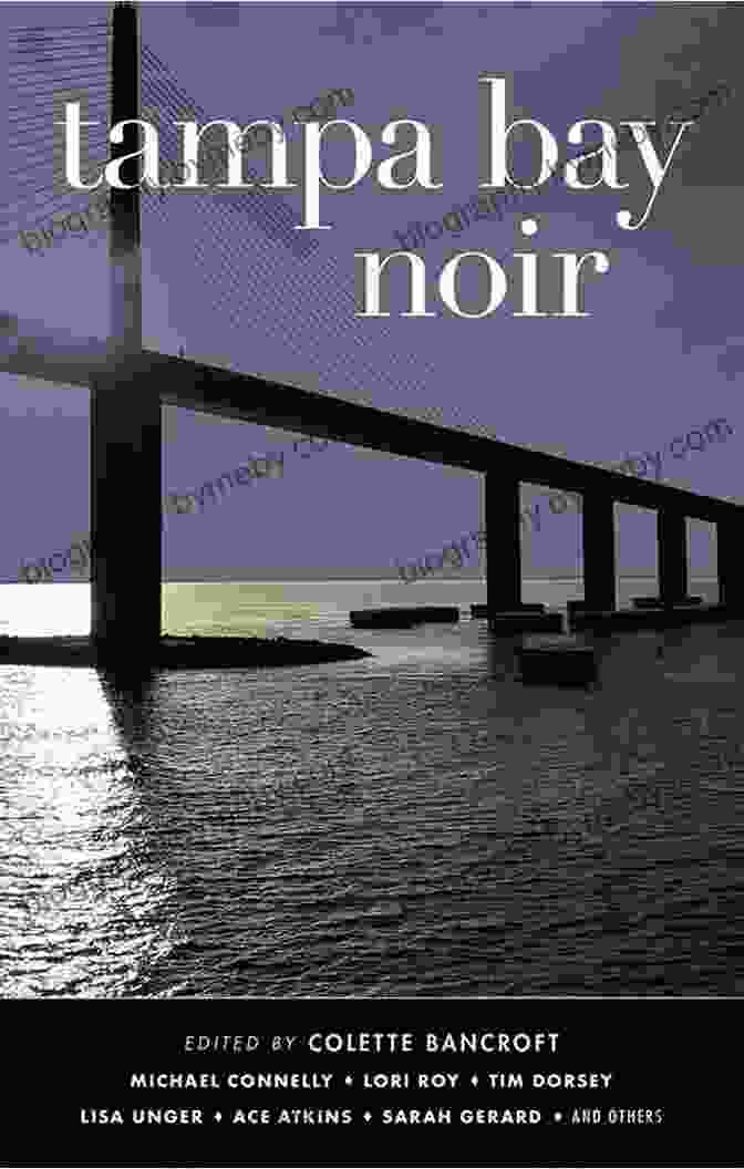 Book Cover For 'Tampa Bay Noir: Akashic Noir' Featuring A Dark And Moody Cityscape With A Silhouette Of A Figure In The Foreground Tampa Bay Noir (Akashic Noir)