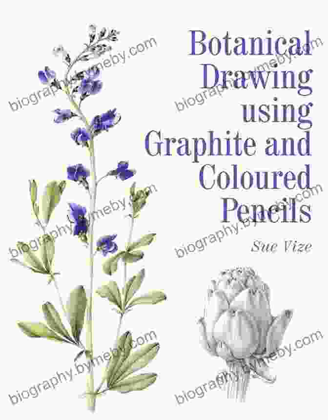 Botanical Drawing Using Graphite And Colored Pencils: A Comprehensive Guide To Capturing The Beauty Of Nature Botanical Drawing Using Graphite And Coloured Pencils