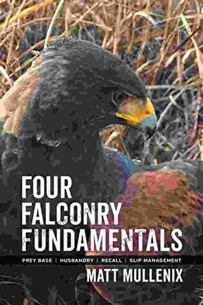 Cover Of Four Falconry Fundamentals By Matt Mullenix, Showcasing A Falcon In Flight. Four Falconry Fundamentals Matt Mullenix