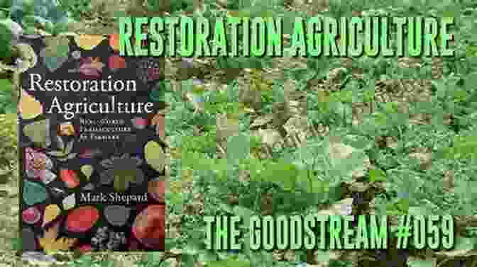 Enhancing Soil Vitality: The Foundation Of Restoration Agriculture Restoration Agriculture: Real World Permaculture For Farmers