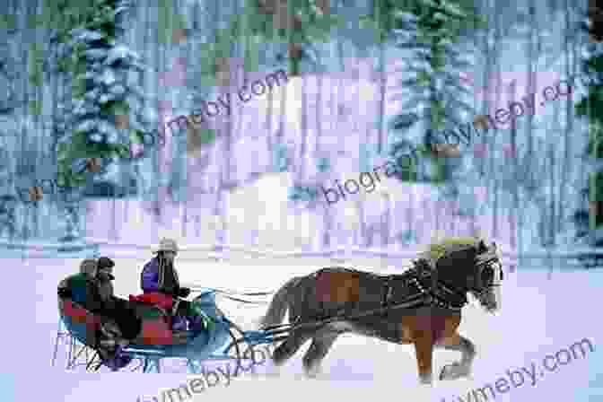 Karen Brewer Bundled Up In Warm Winter Clothes, Sitting In A Horse Drawn Sleigh With A Snowy Landscape Behind Her Karen S Sleigh Ride (Baby Sitters Little Sister #92)