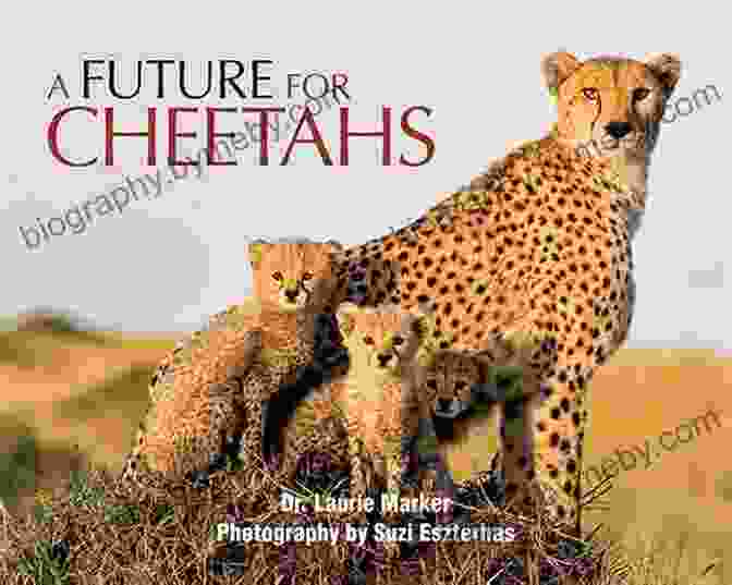 National Geographic Readers: Cheetahs Book Cover Featuring A Cheetah Running Through The Grass National Geographic Readers: Cheetahs Arnold Lobel