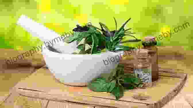 Natural Herbs And Ingredients Used In Folk Herbalism Practices Wild Witchcraft: Folk Herbalism Garden Magic And Foraging For Spells Rituals And Remedies