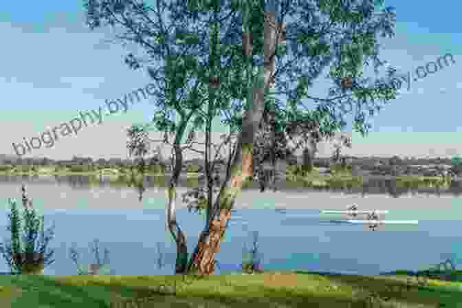 Panoramic View Of Lake Albert The Adventures Of Sir Samuel White Baker: Victorian Hero