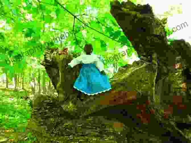 Phoebe And Celeste Exploring The Enchanted Forest The Spellbinding Episodes Of Phoebe And Her Unicorn: Two In One