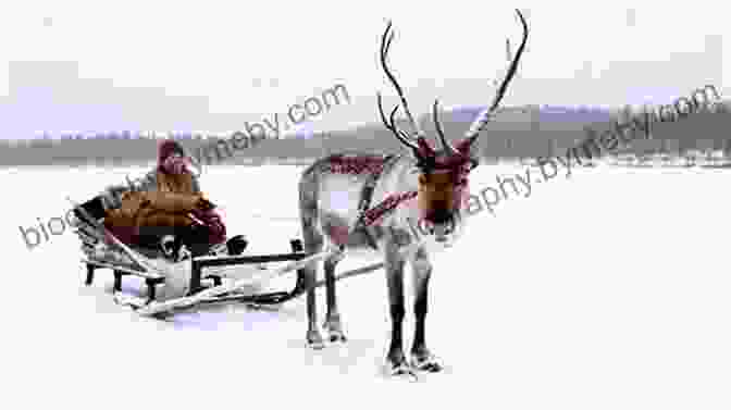 Reindeer Pulling A Sled Through A Snowy Landscape Karen S Reindeer (Baby Sitters Little Sister #116)