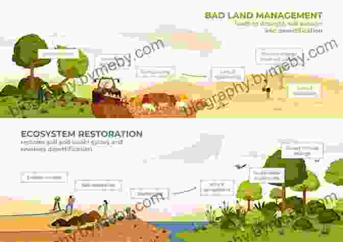 Rejuvenating Landscapes: The Transformative Power Of Restoration Agriculture Restoration Agriculture: Real World Permaculture For Farmers