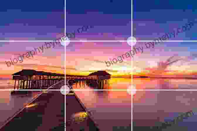 Rule Of Thirds Composition Technique The Viewpoints Book: A Practical Guide To Viewpoints And Composition