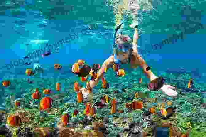 Snorkeling In The Family Islands Among The Children Of The Sun: Travels In The Family Islands Of The Bahamas