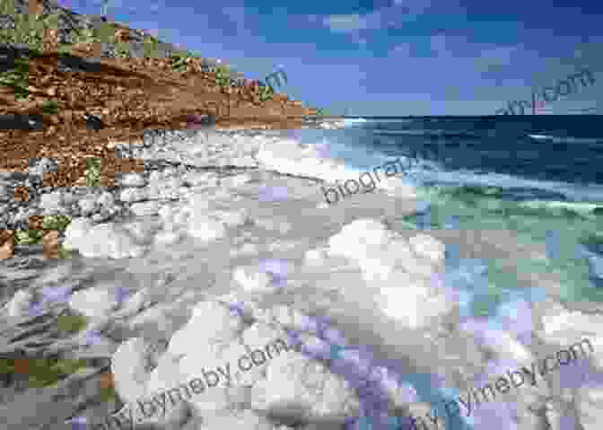 The Therapeutic Waters Of The Dead Sea, Jordan Petra: Jordan S Ancient City (2024 Travel Guide By Approach Guides)