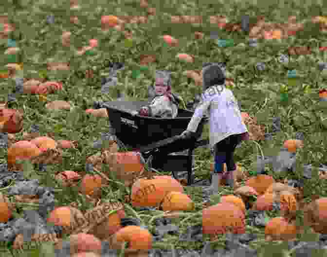 Vibrant Illustration Of A Family Exploring A Pumpkin Farm Trip To The Pumpkin Farm: A Branches (Owl Diaries #11)