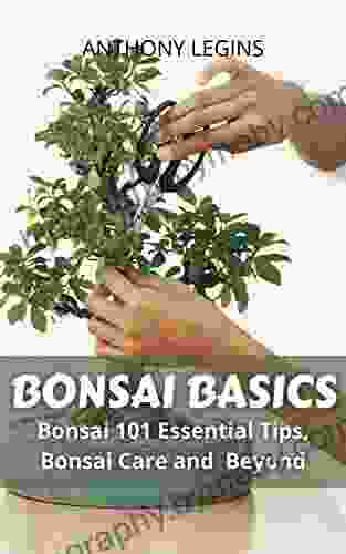 Bonsai Basics: Bonsai 101 Essential Tips Bonsai Care and Beyond