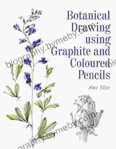 Botanical Drawing Using Graphite And Coloured Pencils