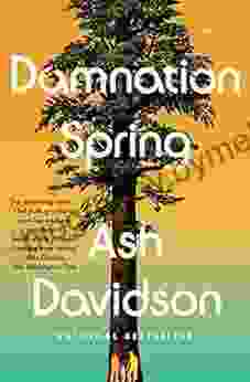 Damnation Spring Ash Davidson