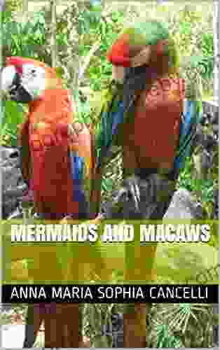 Mermaids And Macaws Anna Maria Sophia Cancelli