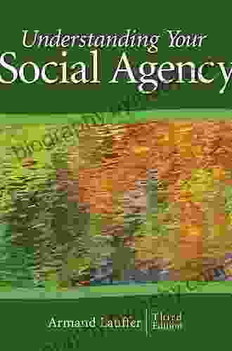 Understanding Your Social Agency (SAGE Human Services Guides 3)