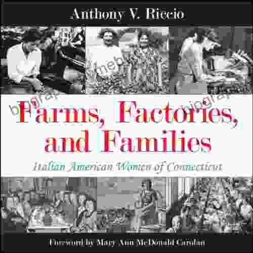 Farms Factories and Families: Italian American Women of Connecticut (Excelsior Editions)