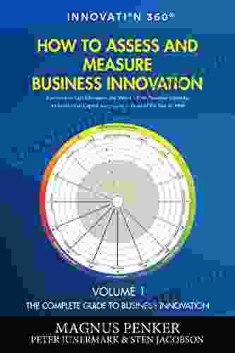 How to Assess and Measure Business Innovation (The Complete Guide to Business Innovation 1)