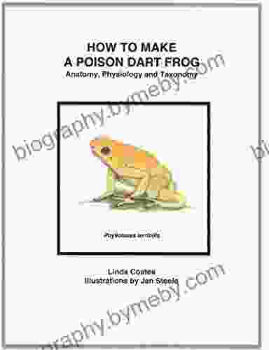 How To Make A Poison Dart Frog: Anatomy Physiology And Taxonomy