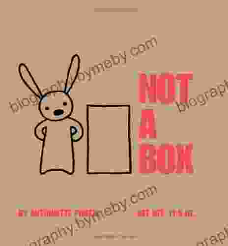 Not A Box Antoinette Portis