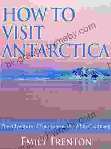 How To Visit Antarctica: The Adventure Of Your Life On The White Continent