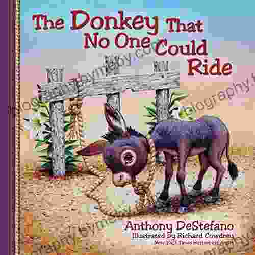 The Donkey That No One Could Ride