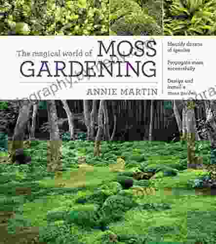 The Magical World Of Moss Gardening