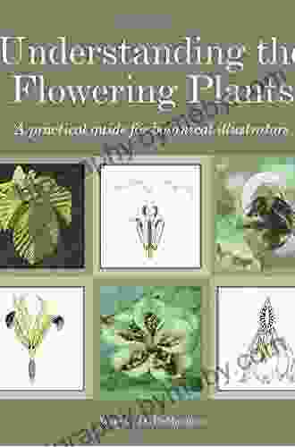 Understanding the Flowering Plants: A Practical Guide for Botanical Illustrators