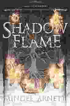 Shadow Flame Mindee Arnett